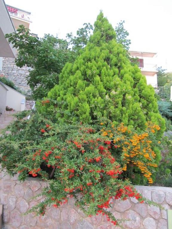 Apartments Bobinac Senj  Room photo
